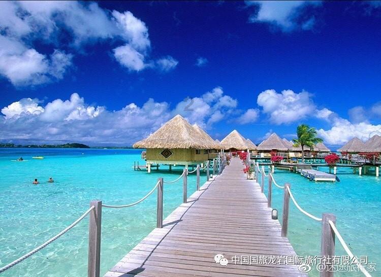 葱油螺片的做法窍门游戏画面