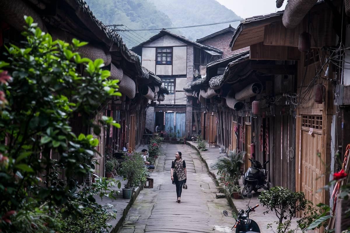 陕西省2024年统一考试录用公务员公告